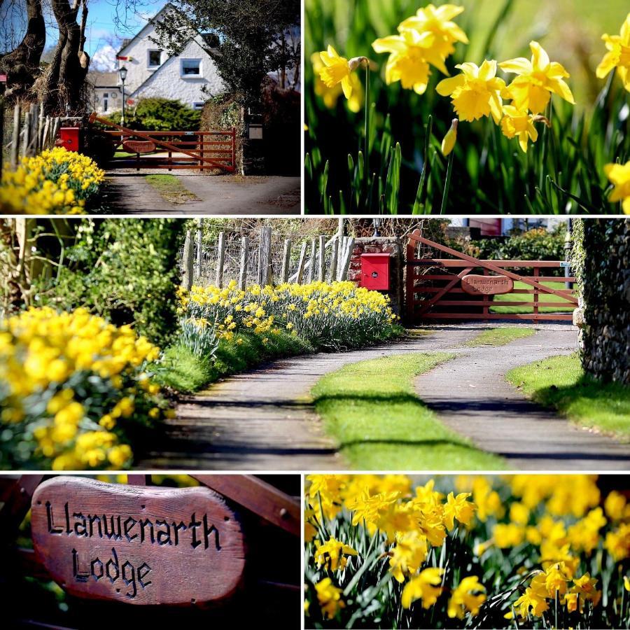 Llanwenarth Cottage A Beautiful Place To Just Be. Abergavenny Exterior foto